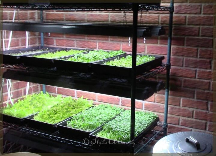 diy indoor green salad garden with led lights