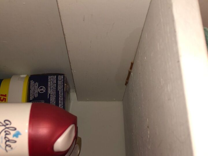 q i think i have cockroaches
