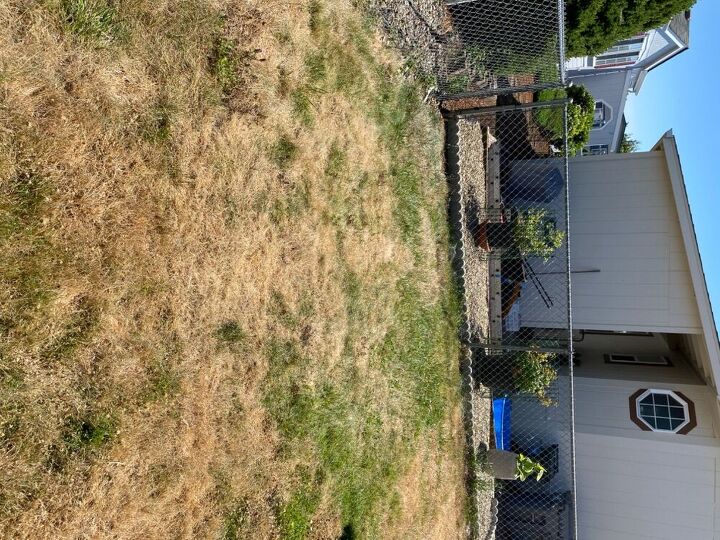 q want an area that s looks hood