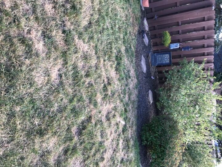 q help with my backyard