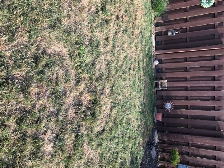 q help with my backyard