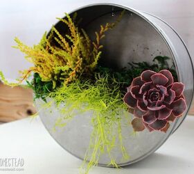 s diy decor ideas, Turn a cookie tin into a faux galvanized wall planter