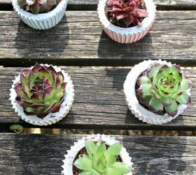 s diy decor ideas, Create mini succulent concrete planters