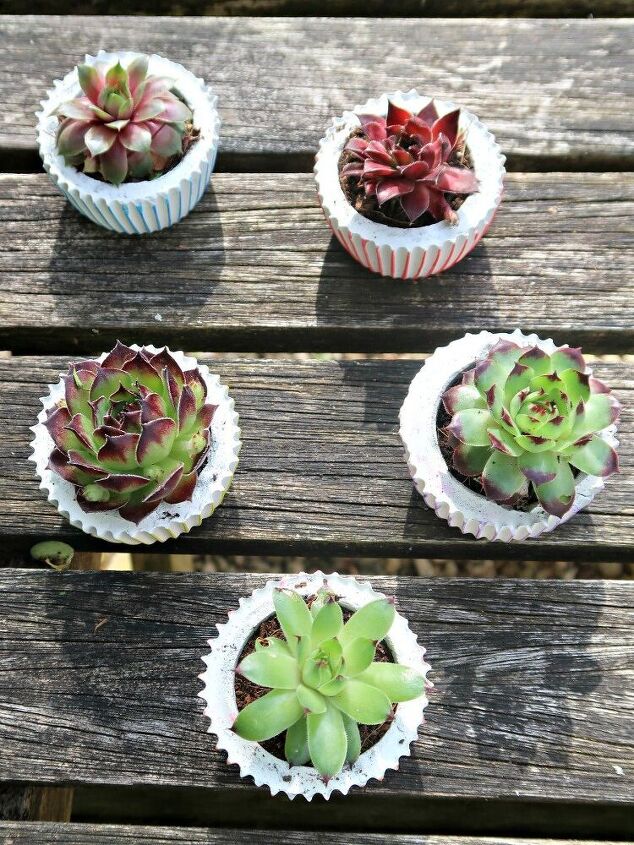 20 belas idias de decorao diy que so boas o suficiente para vender no etsy, Plantadores de concreto DIY lindos plantadores em forma de cupcake