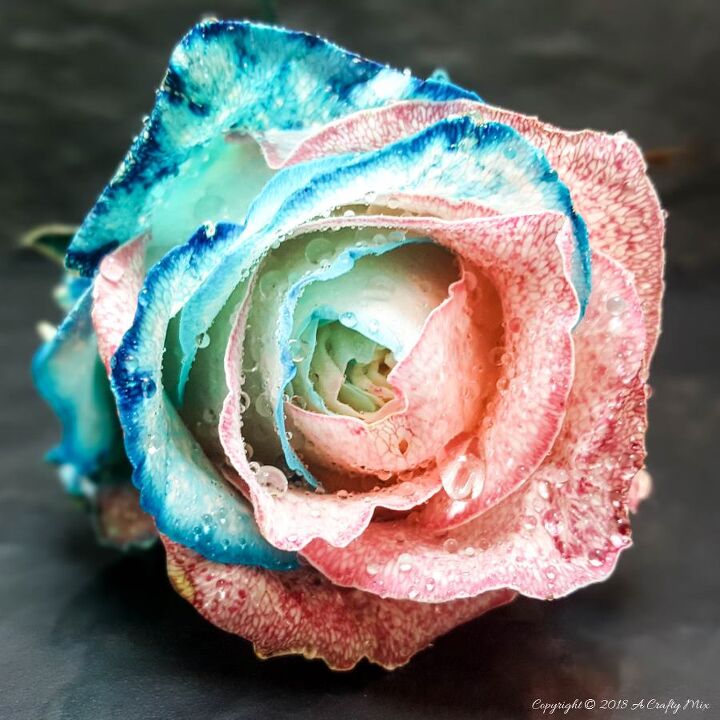 how to make candy floss roses
