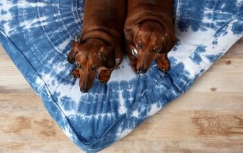 How To Tie Dye a Dog Bed