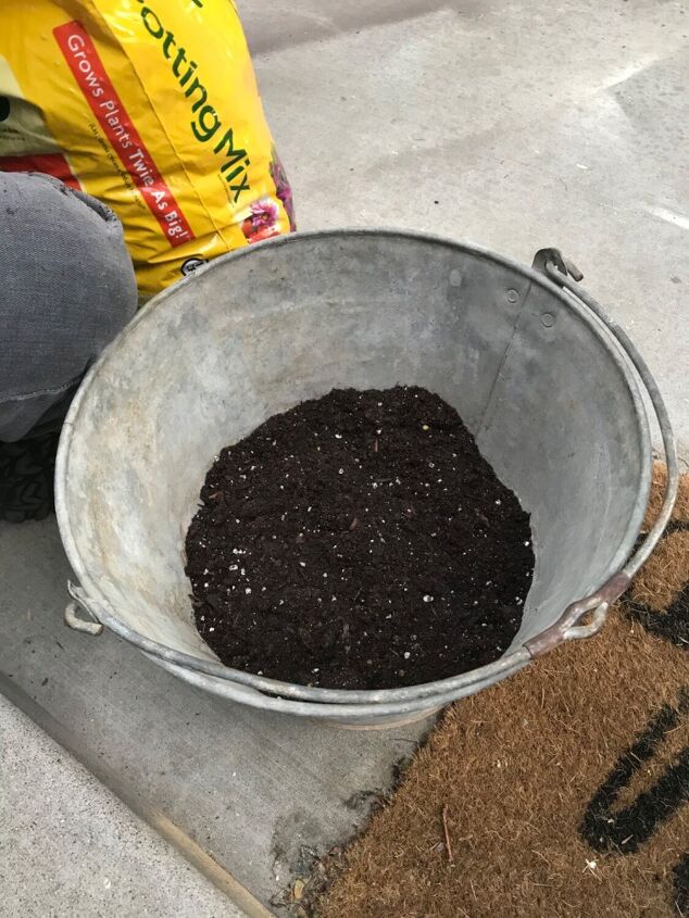 metal bucket to planter