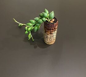 the ultimate guide to making wine cork succulent planters