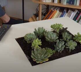 diy succulent table step by step instructions to do it yourself