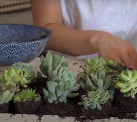 diy succulent table step by step instructions to do it yourself
