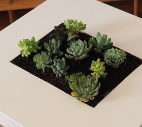 DIY Succulent Table: Step-By-Step Instructions to Do It Yourself