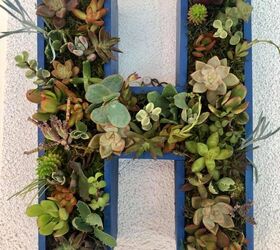 wall pot with succulent plants as decoration