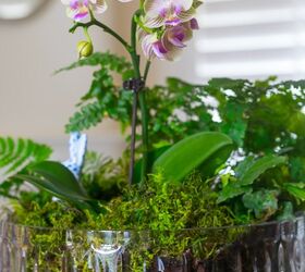 living centerpiece with orchids and ferns