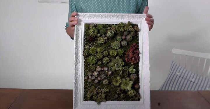 jardn vertical de bricolaje plantar suculentas en un marco de fotos