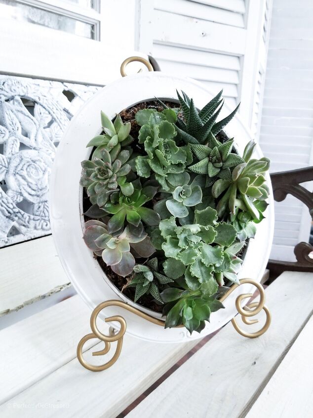 s 26 creative ways to display your succulents, Framed Succulent Planter
