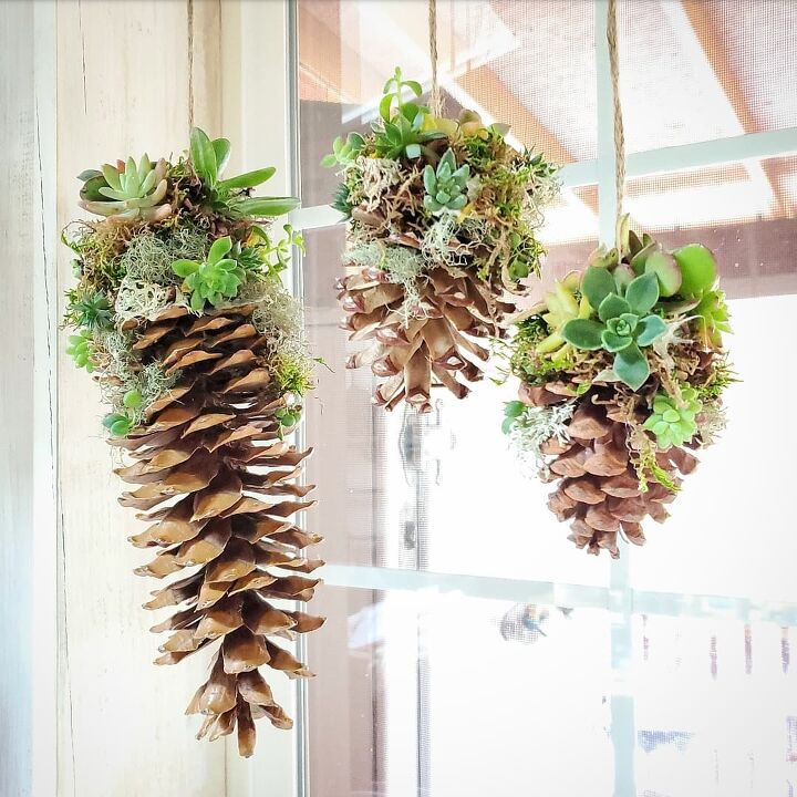 s 26 creative ways to display your succulents, Winter Succulent Decor
