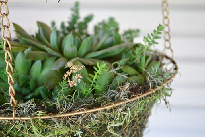 s 26 creative ways to display your succulents, How to Make a Hanging Succulent Planter
