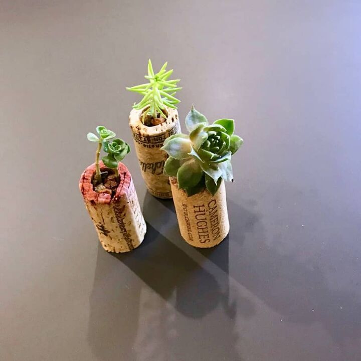 s 26 creative ways to display your succulents, The Ultimate Guide To Making Wine Cork Succulent Planter