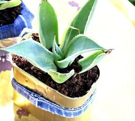 upcycled food containers make great plant pots