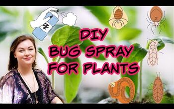 Spray casero contra insectos para plantas