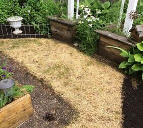 why i added mulch on top of my grass