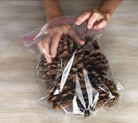 Stuff pine cones in a sandwich bag for this heavenly winter hack