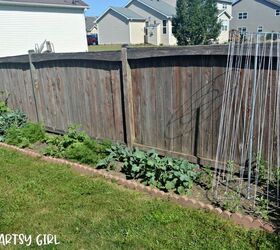 vegetable garden with a classy brick border
