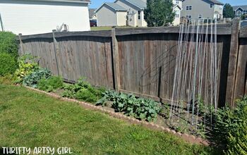 Vegetable Garden With a Classy Brick Border
