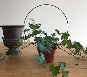 easy ivy topiary
