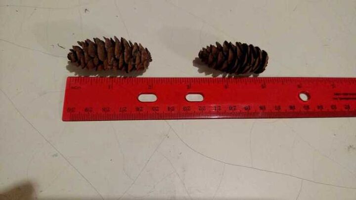 miniature fall pine cone tree