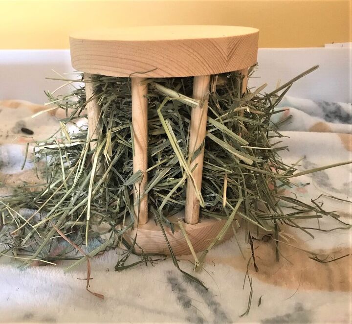 Homemade Rabbit Hay Feeder DIY Small Animal Hay Feeder For Rabbits & Guinea Pigs | Hometalk