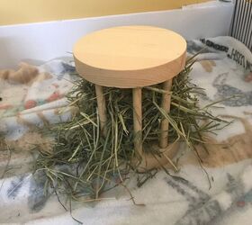 diy small animal hay feeder for rabbits guinea pigs
