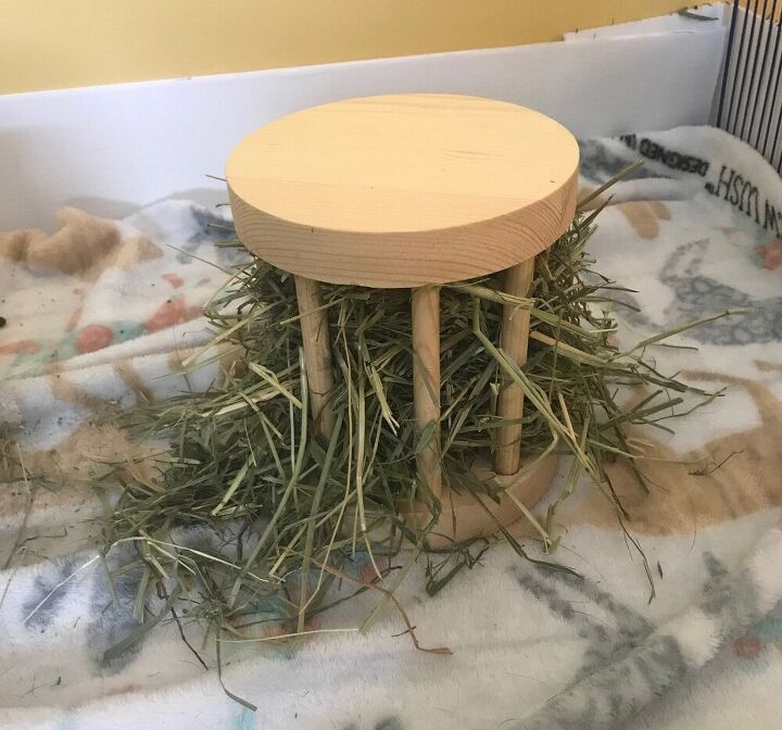 Homemade Rabbit Hay Feeder DIY Small Animal Hay Feeder For Rabbits & Guinea Pigs | Hometalk