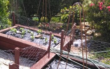 Vegetable Support or Trellis (or Obelisk!) What Would I Know!