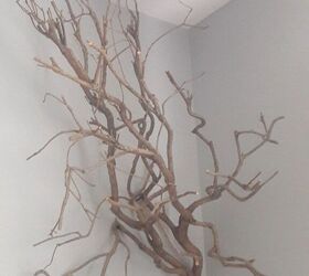 This 10-minute Halloween idea starts with hanging a branch on your wall