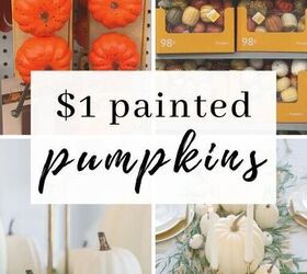 1 diy painted pumpkins