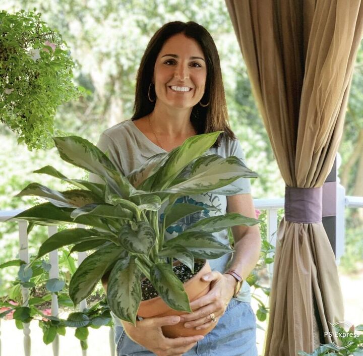 the secret to keeping houseplants alive