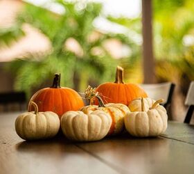 easy painting pumpkin ideas you must try