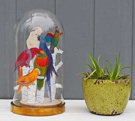 tropical decor for your glass dome