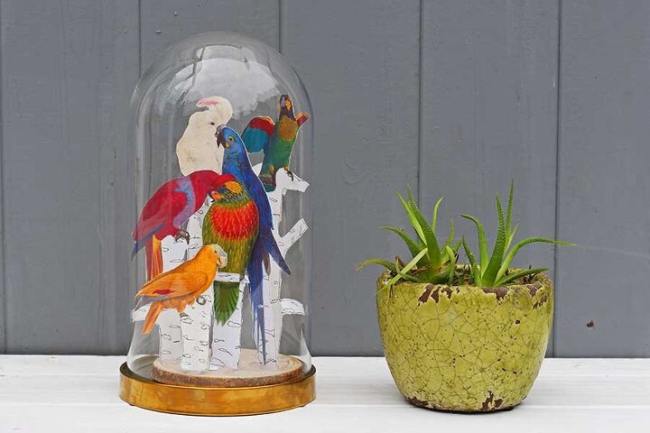 tropical decor for your glass dome