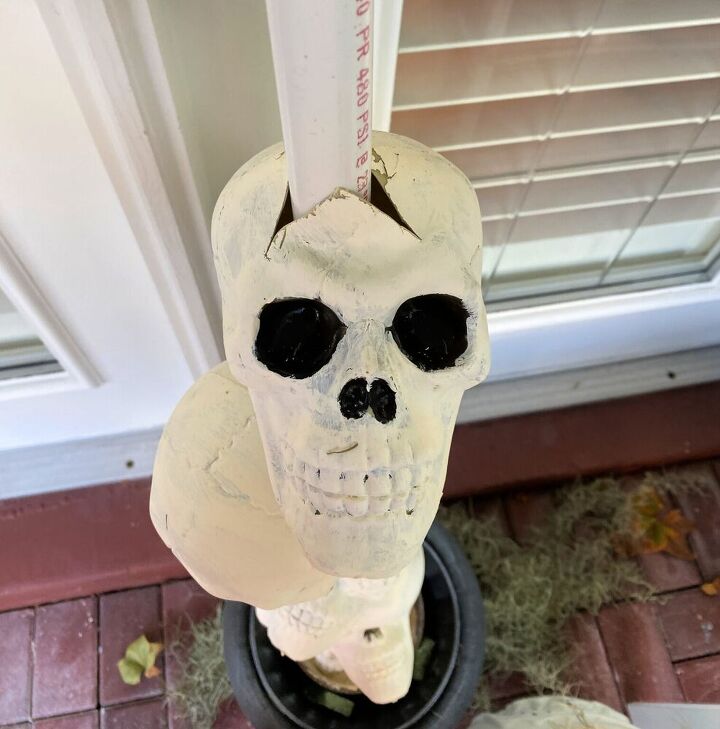 dollar store skull decoration