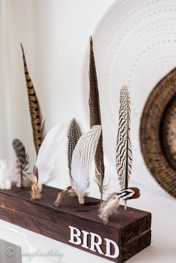 diy a fun feather display from scrapwood no special talents necessary