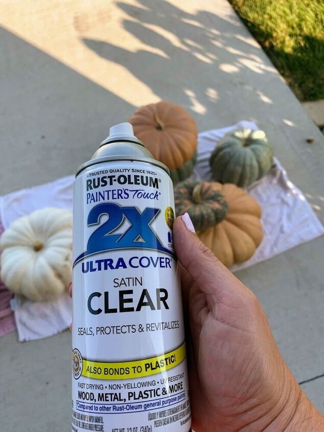 How to Preserve Your Pumpkins to Make Them Last Longer Hometalk