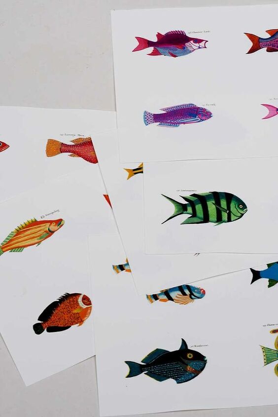 cmo hacer una decoracin con peces arco iris