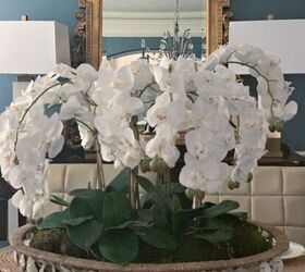easy diy orchid arrangement