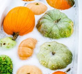 how to clean preserve pumpkins for fall