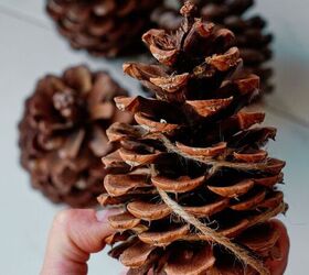 Do this to pine cones for a brilliant cold-weather hack