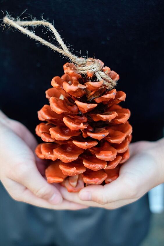 firestarter pine cones beautiful gift