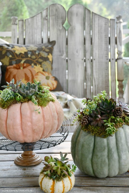create a succulent pumpkin centerpiece