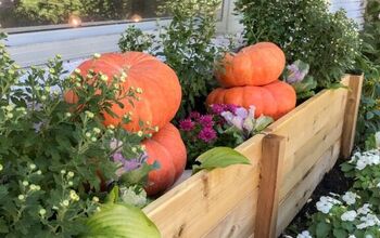 Planter Box